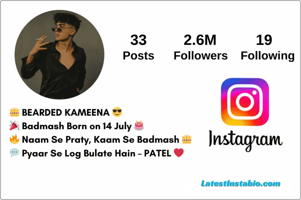 instagram bio style for boys