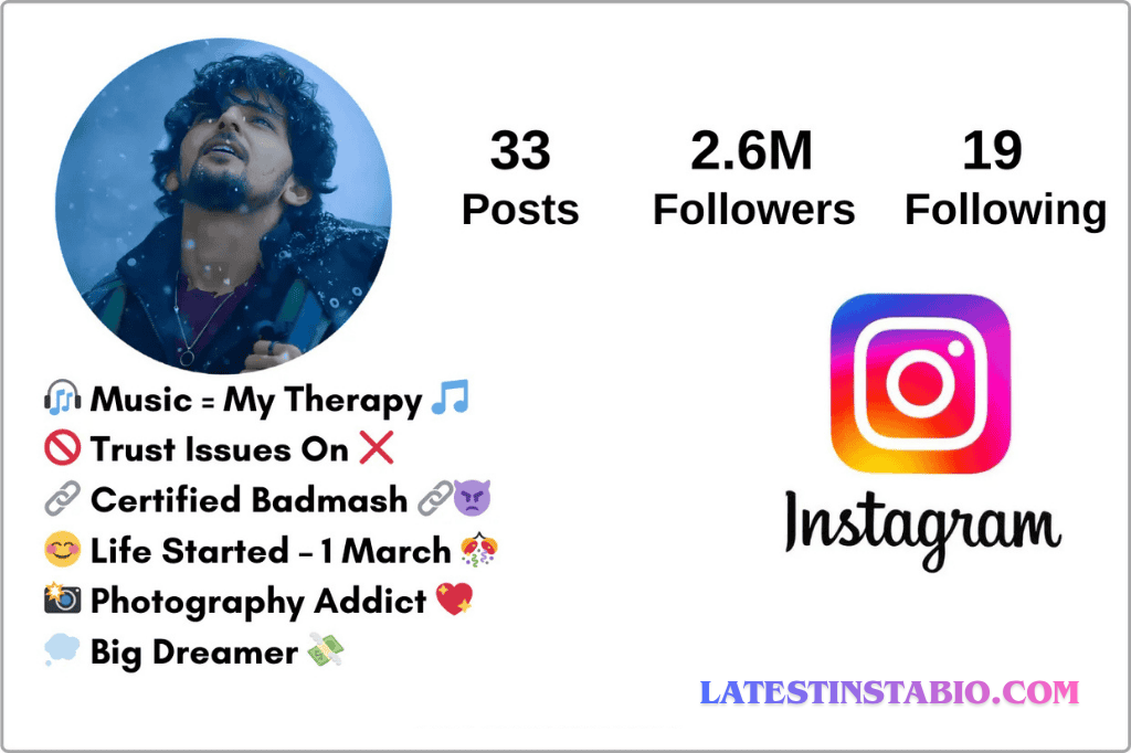 instagram bio for boys