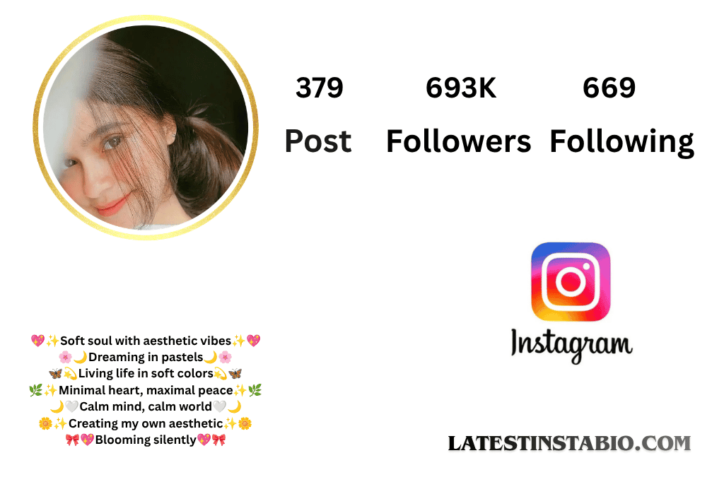 Aesthetic Bio for Instagram