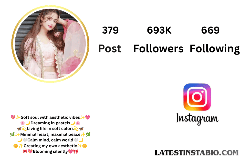 Aesthetic Bio for Instagram