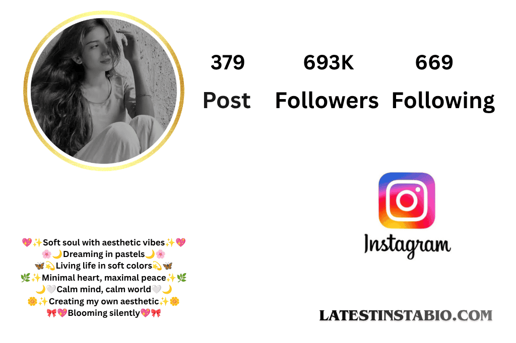 Aesthetic Bio for Instagram