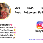 bio for girls in stylish font