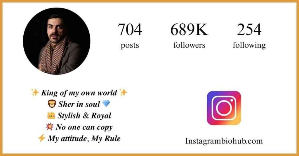 2 Line Bio For Instagram For Boy