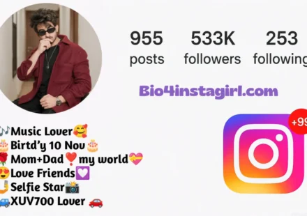 Attitude Bio for Instagram – Boys & Girls के लिए जबरदस्त Attitude Bios 2025