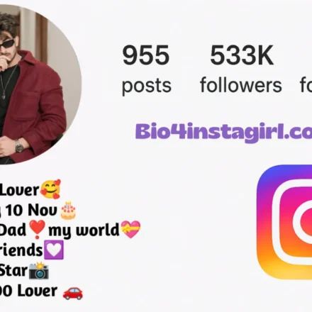 Attitude Bio for Instagram – Boys & Girls के लिए जबरदस्त Attitude Bios 2025