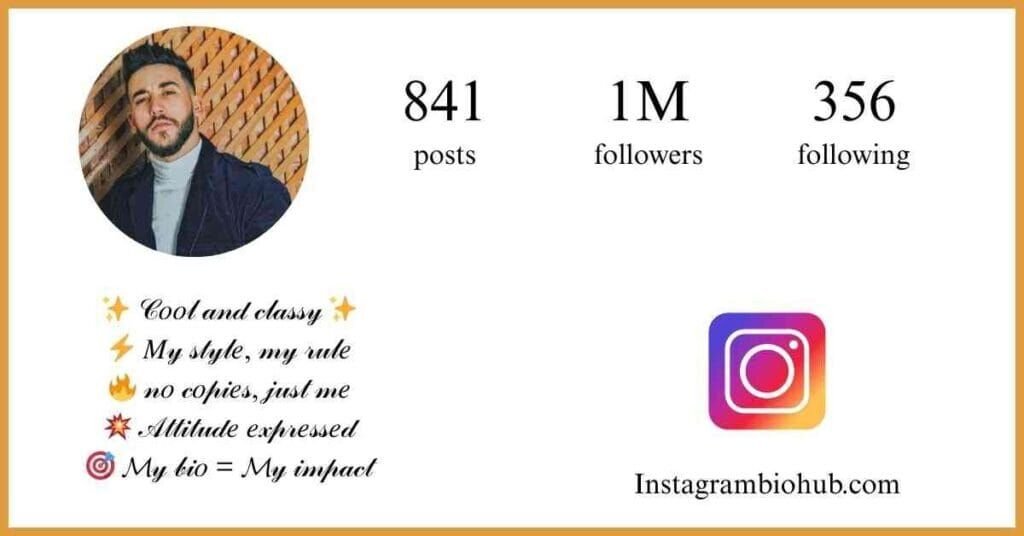 Instagram Bio For Boys Stylish