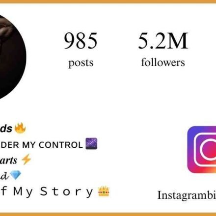 Instagram Bio For Boys Stylish Font | VIP Bio Stylish Bio - instagrambiohub.com