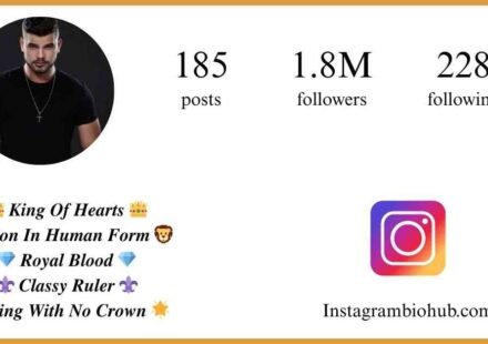 Instagram Bio For Boys | 897+ Cool, Stylist, Attitude & VIP Bio - instagrambiohub.com