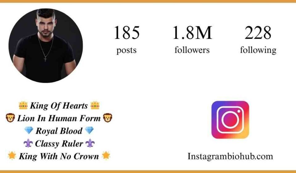 Instagram Bio For Boys | 897+ Cool, Stylist, Attitude & VIP Bio - instagrambiohub.com