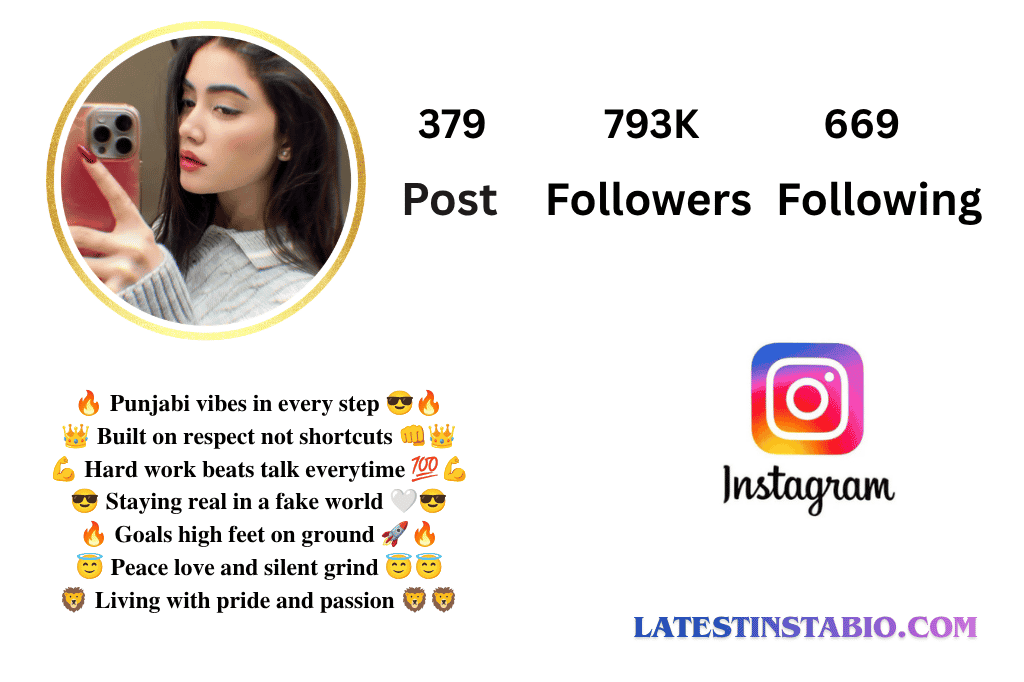 Punjabi Bio for Instagram