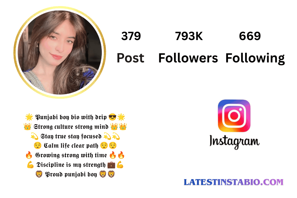Punjabi Bio for Instagram