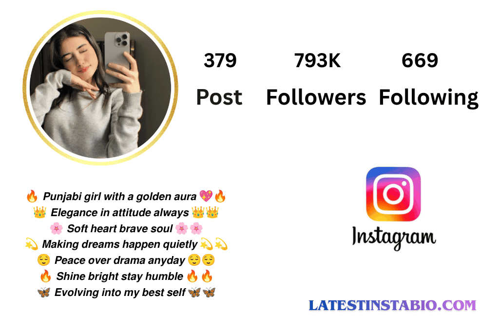Punjabi Bio for Instagram