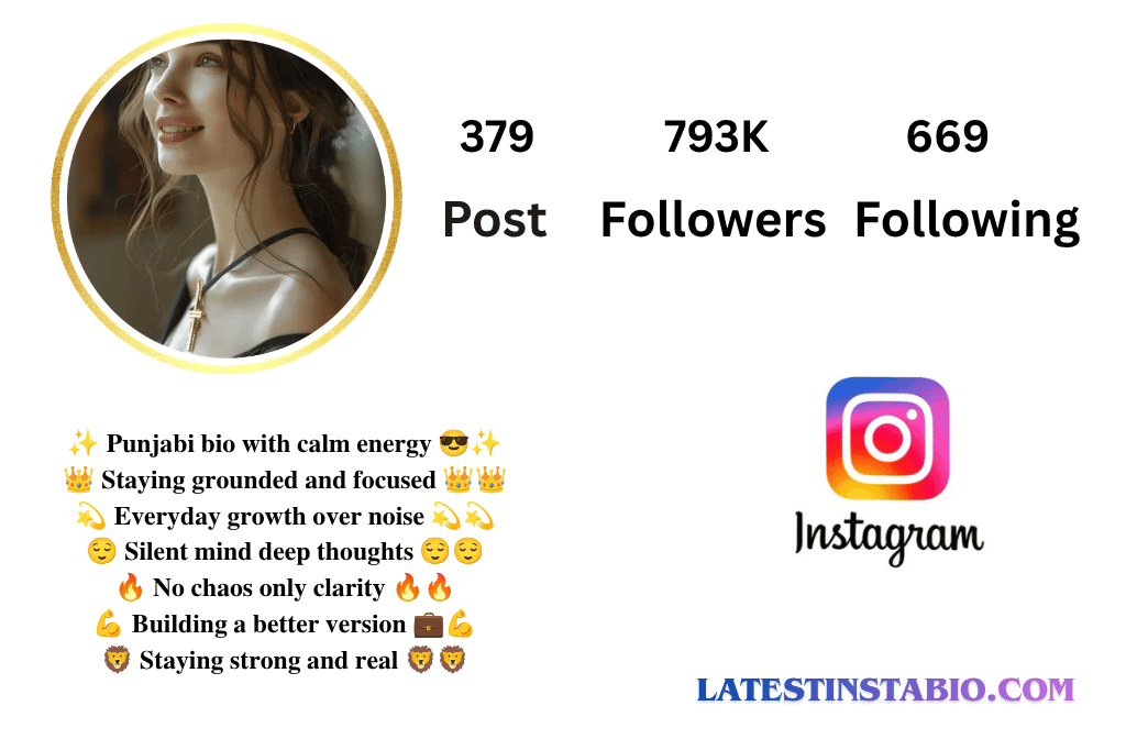 Punjabi Bio for Instagram