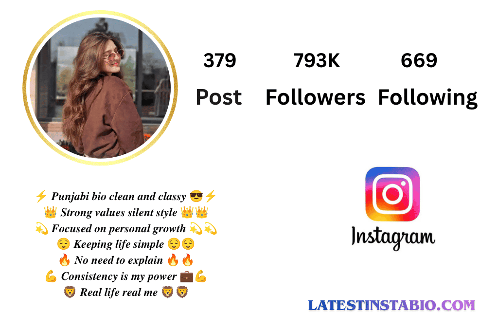 Punjabi Bio for Instagram