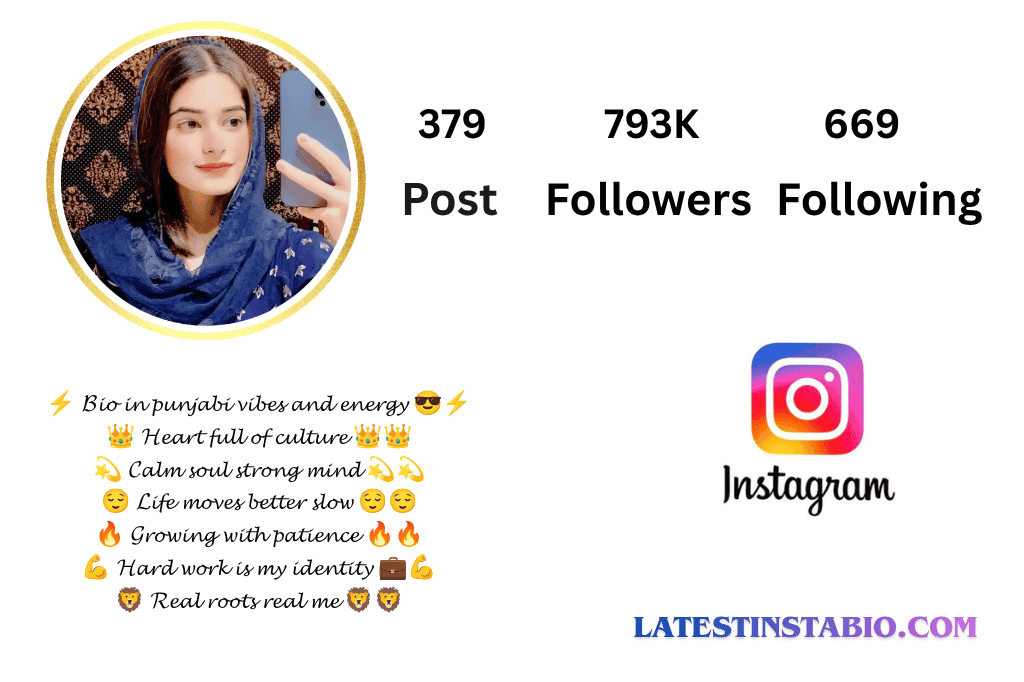 Punjabi Bio for Instagram