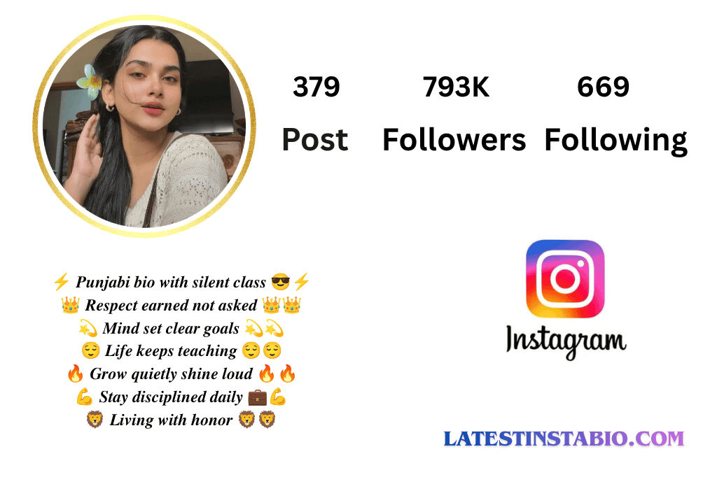 Punjabi Bio for Instagram