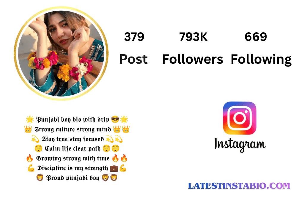 Punjabi Bio for Instagram