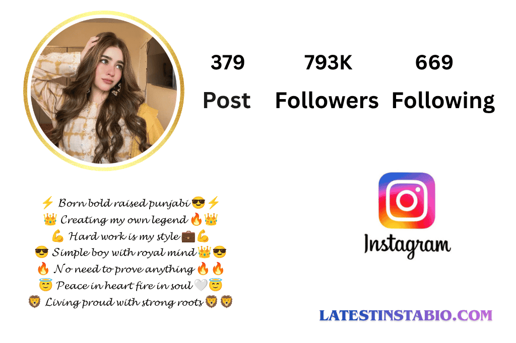 Punjabi Bio for Instagram