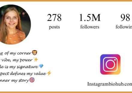 Instagram Attitude Bio