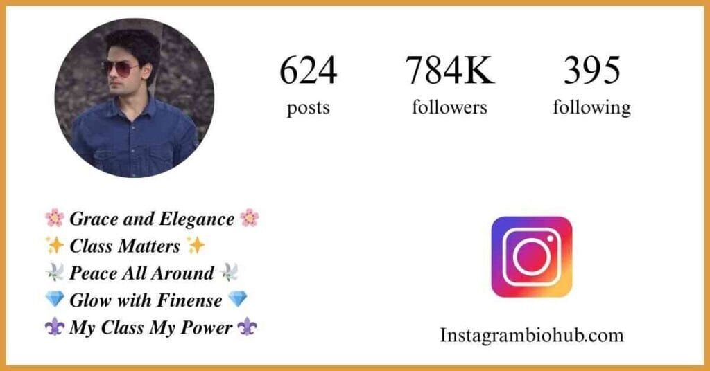 Instagram Bio For Boys Stylish Font