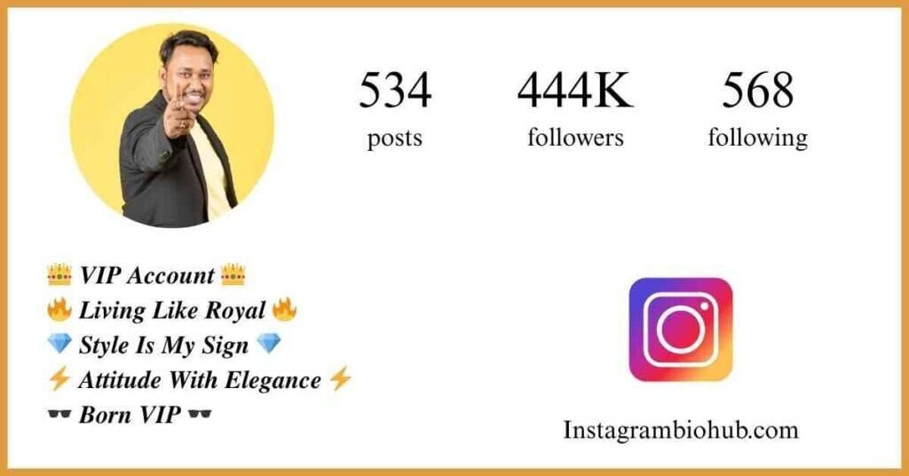 Instagram VIP Bio - Instagram Bio VIP Account