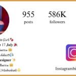 Instagram Bio for Girls – Cool, Stylish & Swag Attitude Bio 2026 - instagrambiohub.com