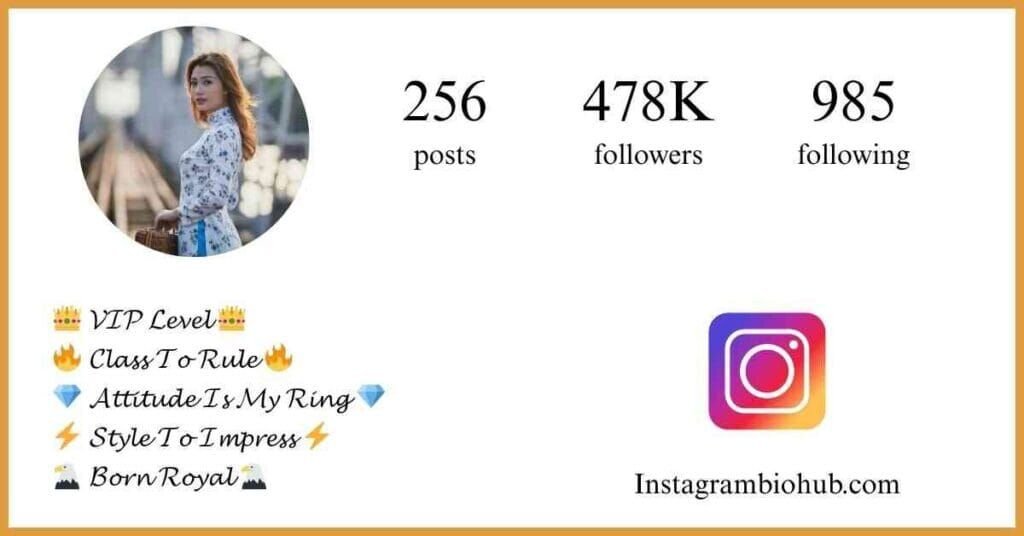 Instagram VIP Bio - Instagram VIP Account Bio