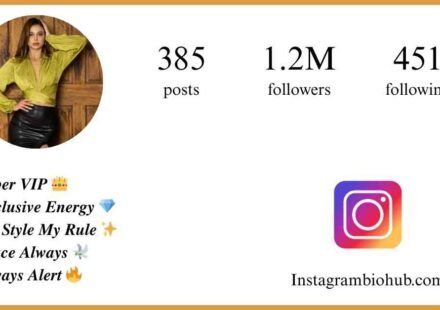 400+ Instagram VIP Bio for Boys & Girls | Stylish, Classy & Premium Bios