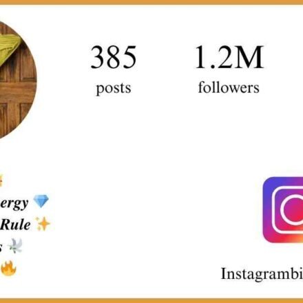 400+ Instagram VIP Bio for Boys & Girls | Stylish, Classy & Premium Bios