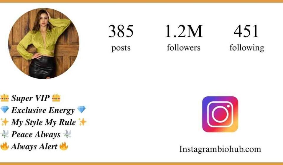 400+ Instagram VIP Bio for Boys & Girls | Stylish, Classy & Premium Bios