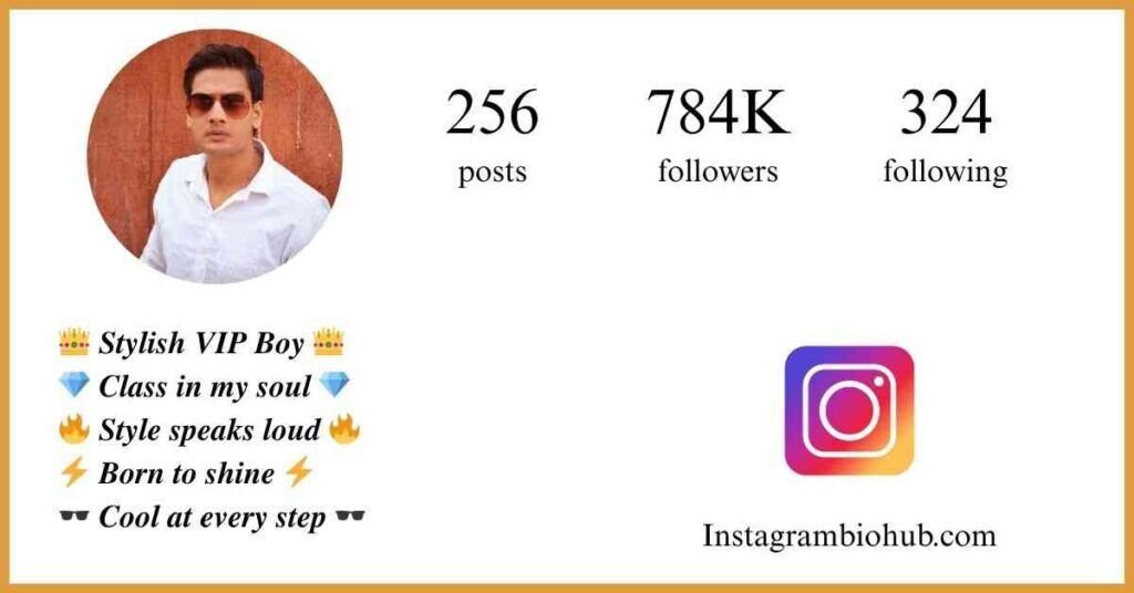 Instagram VIP Bio - Instagram VIP Bio Stylish