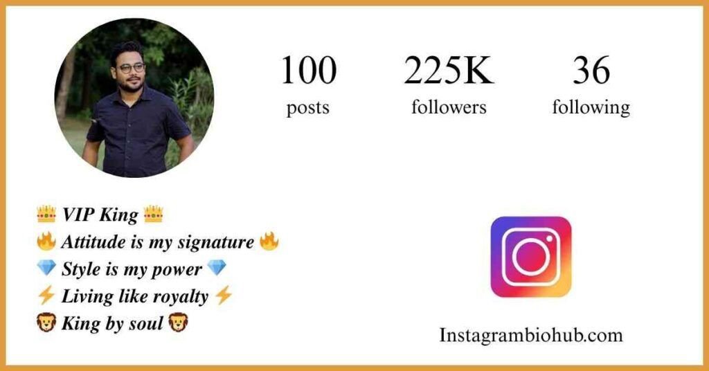 Instagram VIP Bio - Instagram VIP Bio Stylish Font For Boy