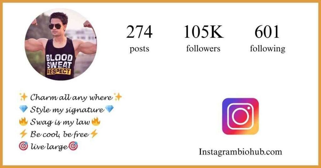 Instagram Attitude Bio