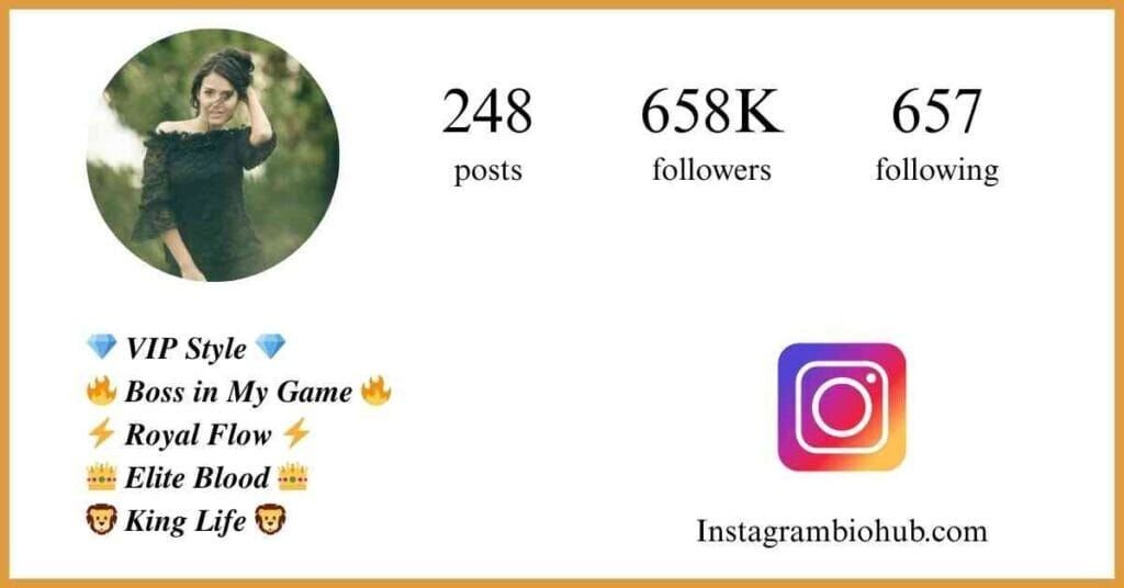 Instagram VIP Bio - VIP Account Bio Instagram