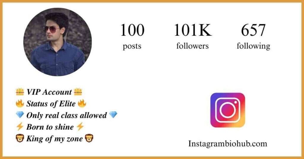 Instagram VIP Bio - VIP Account Instagram Bio