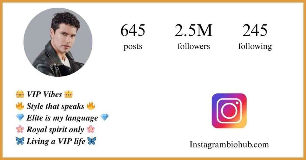 Instagram VIP Bio - VIP Bio Instagram