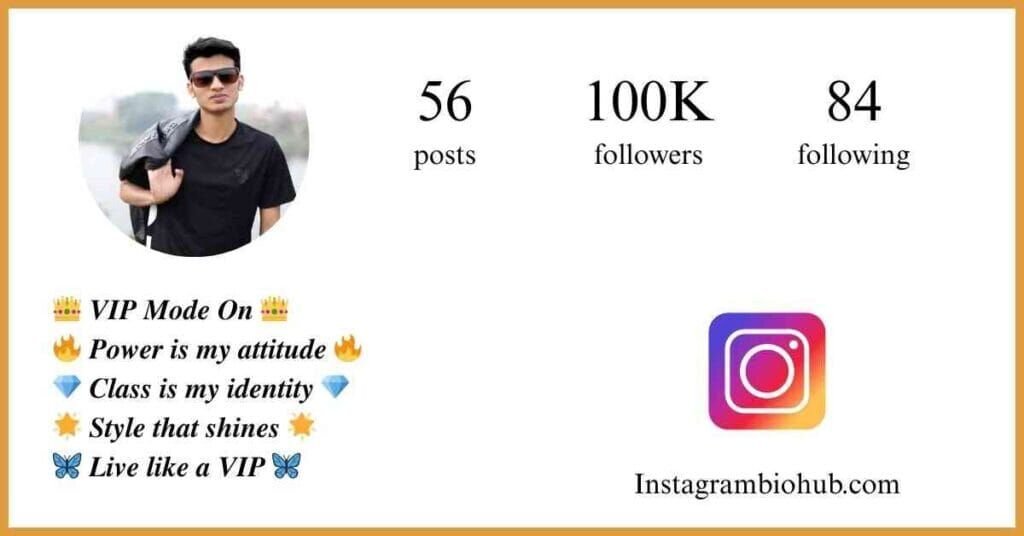 Instagram VIP Bio - VIP Instagram Bio
